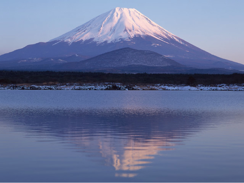 訪日外国人旅行