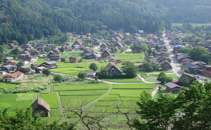 インセンティブ・個人・団体旅行